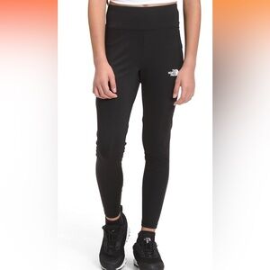 The north face pants